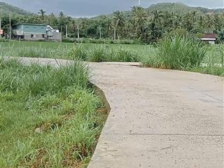 Cần bán lô đất tại xã xuân thọ tỉnh daklak. tổng diện tích 1000m2 có sẵn 85m2 thổ cư