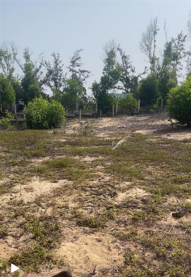 Chính chủ cần bán gấp lô đất hoa lợi xã xuân cảnh tỉnh daklak