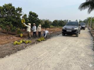 Đất vườn kv chuyển full thổ, 2 mặt tiền đg ô tô quay đầu sổ hiện đg 5m, đang trồng mít ruột đỏ