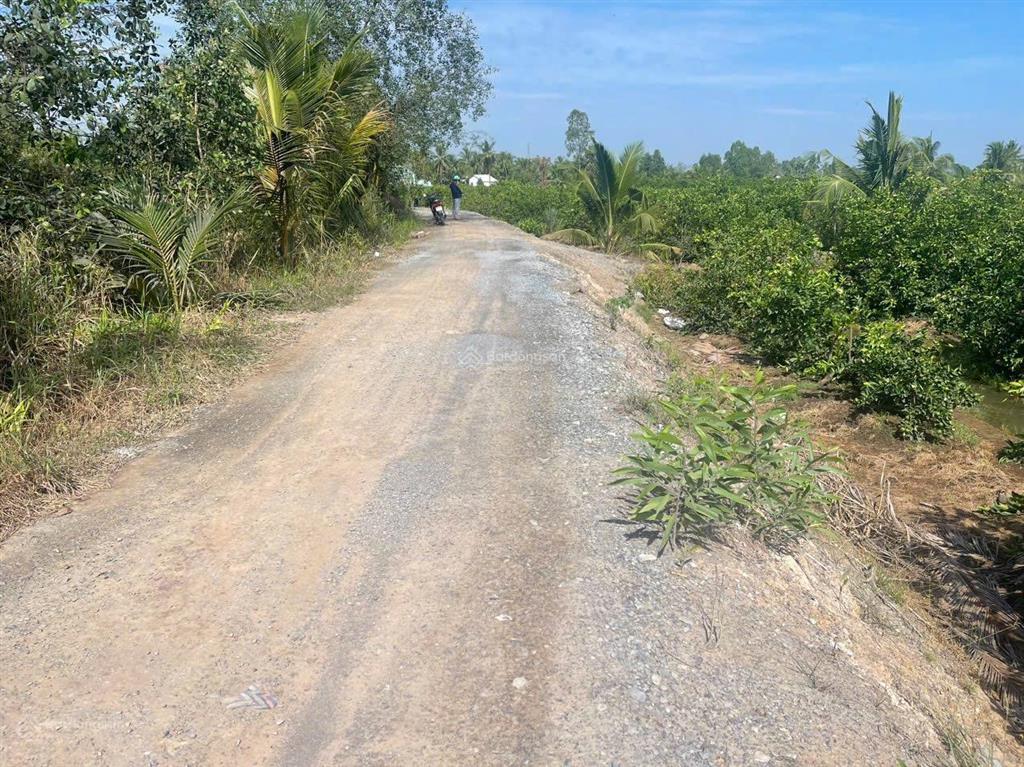 Đất vườn ngay dân, đường đá xanh ô tô đậu trước đất, kv chuyển thổ, đất đang trồng chanh thu hoạch