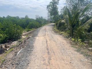 Đất vườn ngay dân, đường đá xanh ô tô đậu trước đất, kv chuyển thổ, đất đang trồng chanh thu hoạch