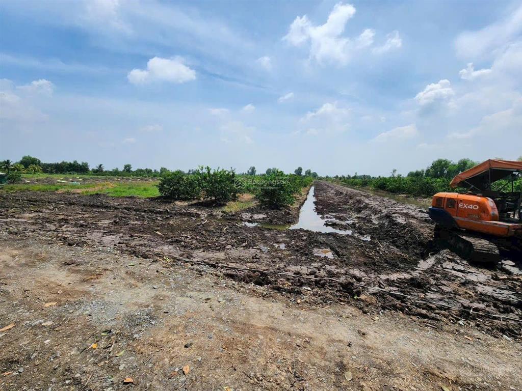 Bán đất tại đt 816, xã thạnh hòa, huyện bến lức, 285 triệu, 500 m2, hàng hiếm chính chủ