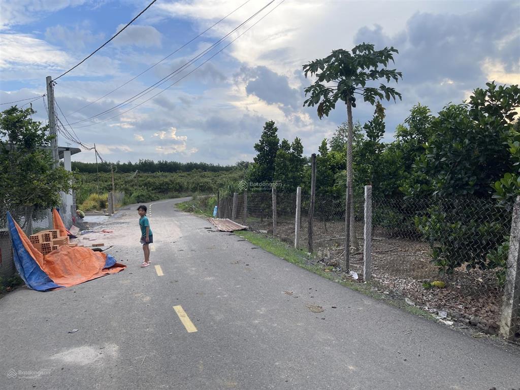 Đất thổ vườn đường nhựa, view suối, sẵn nhà cấp 4, trồng đủ loại cây ăn trái