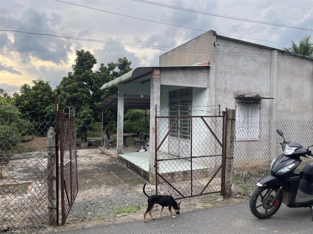 Đất thổ vườn đường nhựa, view suối, sẵn nhà cấp 4, trồng đủ loại cây ăn trái