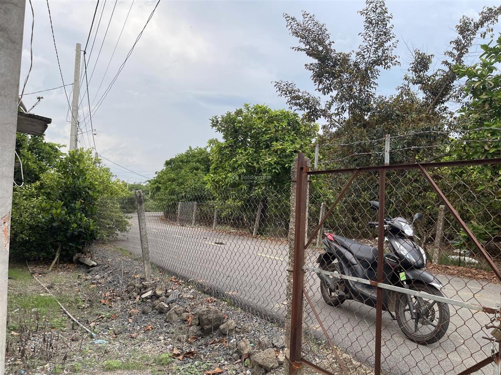 Đất thổ vườn đường nhựa, view suối, sẵn nhà cấp 4, trồng đủ loại cây ăn trái