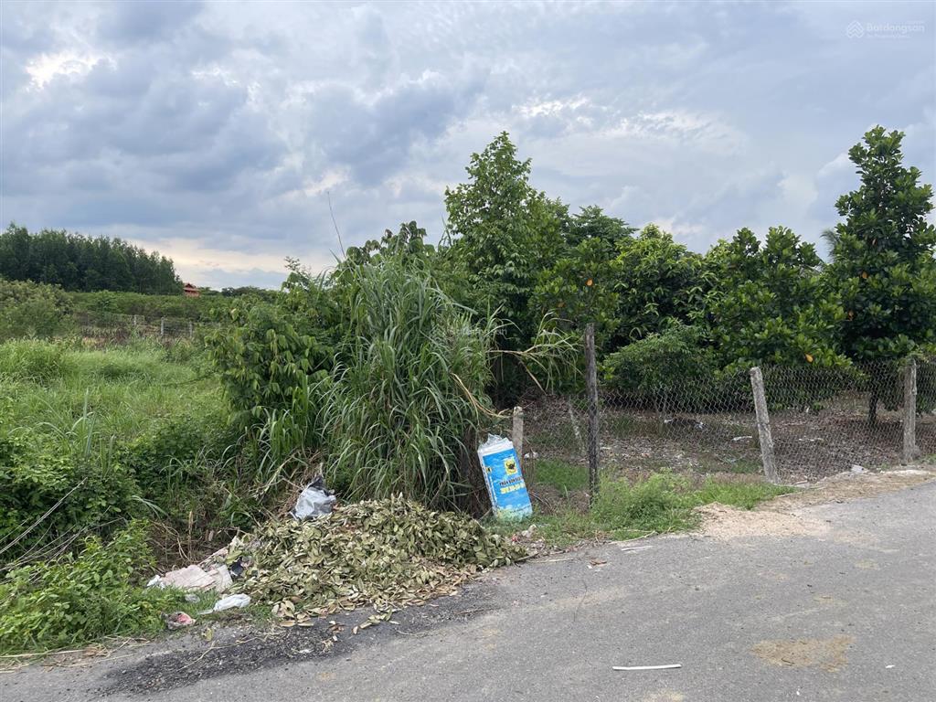 Đất thổ vườn đường nhựa, view suối, sẵn nhà cấp 4, trồng đủ loại cây ăn trái