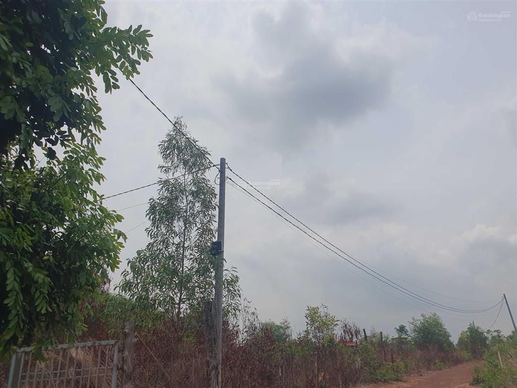 Chính chủ bán 3035m2 đất đẹp gần hồ trị an, có sẵn vườn tràm, xã mã đà, vĩnh cửu