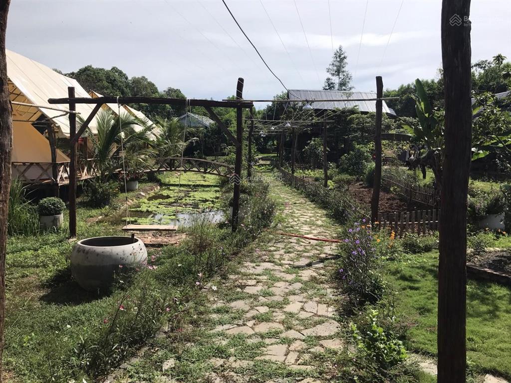 Chính chủ bán 3035m2 đất đẹp gần hồ trị an, có sẵn vườn tràm, xã mã đà, vĩnh cửu