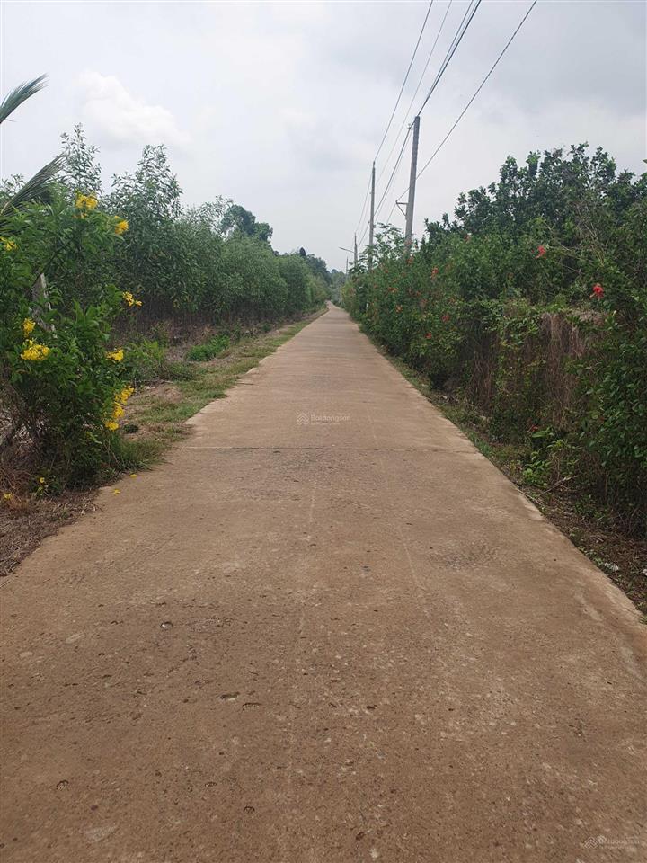 Chính chủ bán 3035m2 đất đẹp gần hồ trị an, có sẵn vườn tràm, xã mã đà, vĩnh cửu