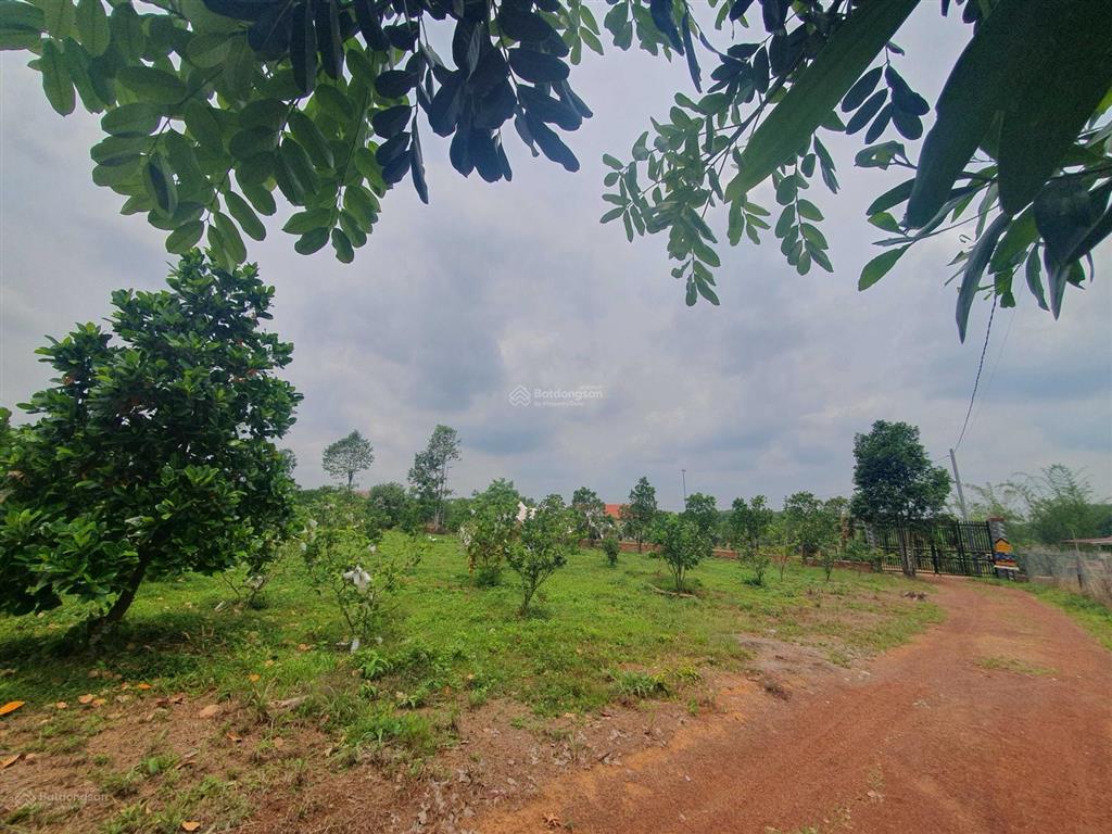 Chính chủ bán 3035m2 đất đẹp gần hồ trị an, có sẵn vườn tràm, xã mã đà, vĩnh cửu