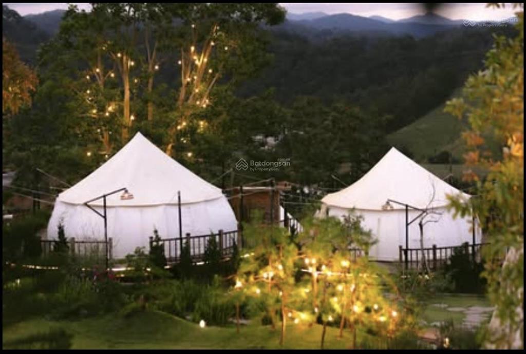 Cho thuê khu glamping mặt tiền, phường 11 dalat khu glamping ngay trung tâm mặt tiền xuân thọ