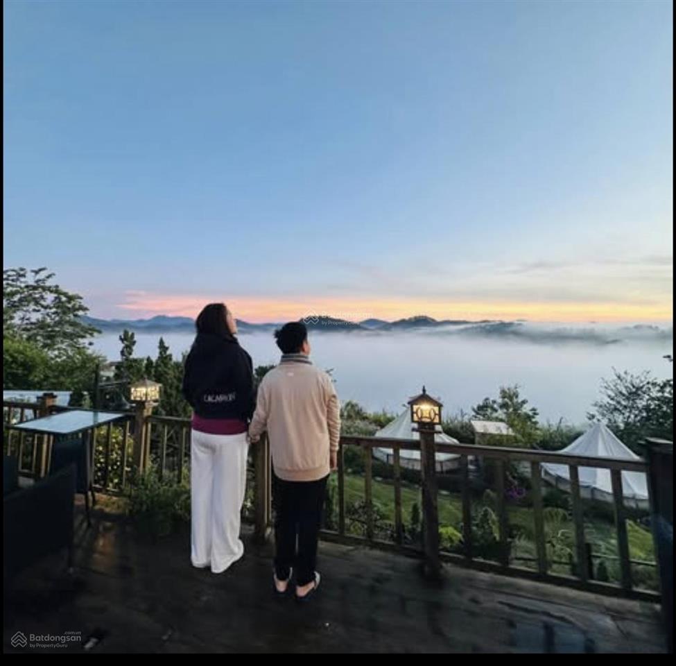 Cho thuê khu glamping mặt tiền, phường 11 dalat khu glamping ngay trung tâm mặt tiền xuân thọ