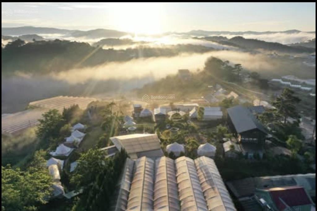 Cho thuê khu glamping mặt tiền, phường 11 dalat khu glamping ngay trung tâm mặt tiền xuân thọ