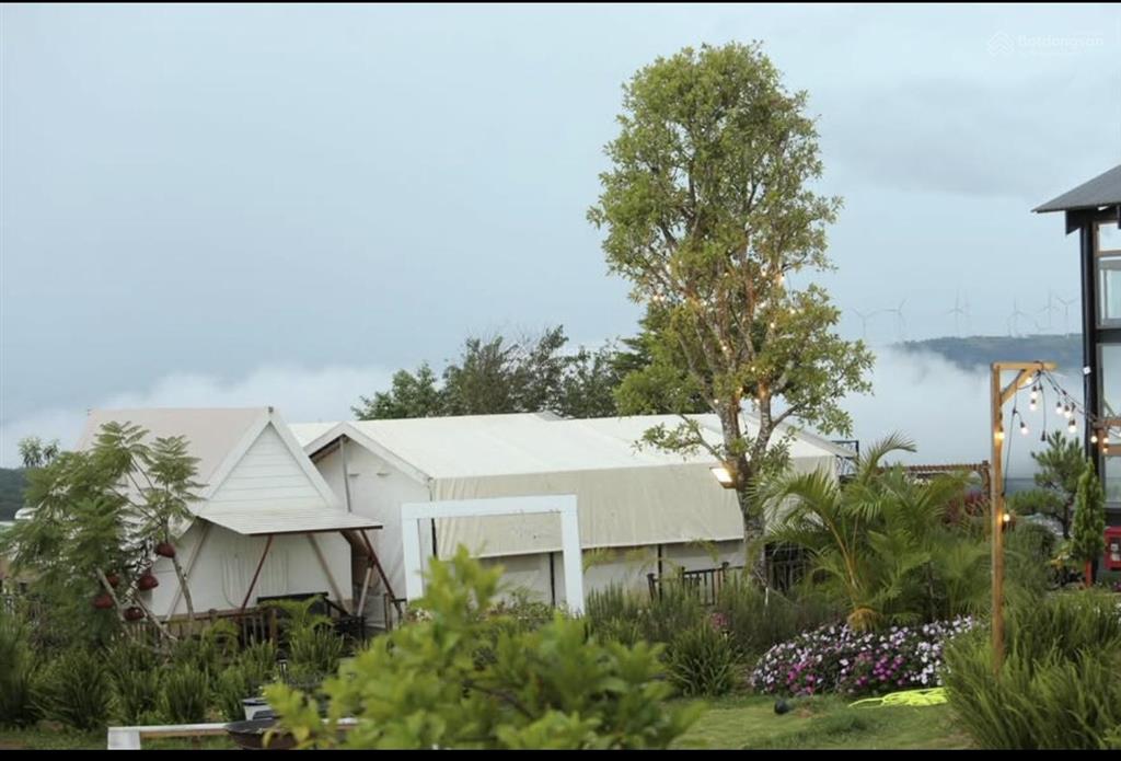 Cho thuê khu glamping mặt tiền, phường 11 dalat khu glamping ngay trung tâm mặt tiền xuân thọ