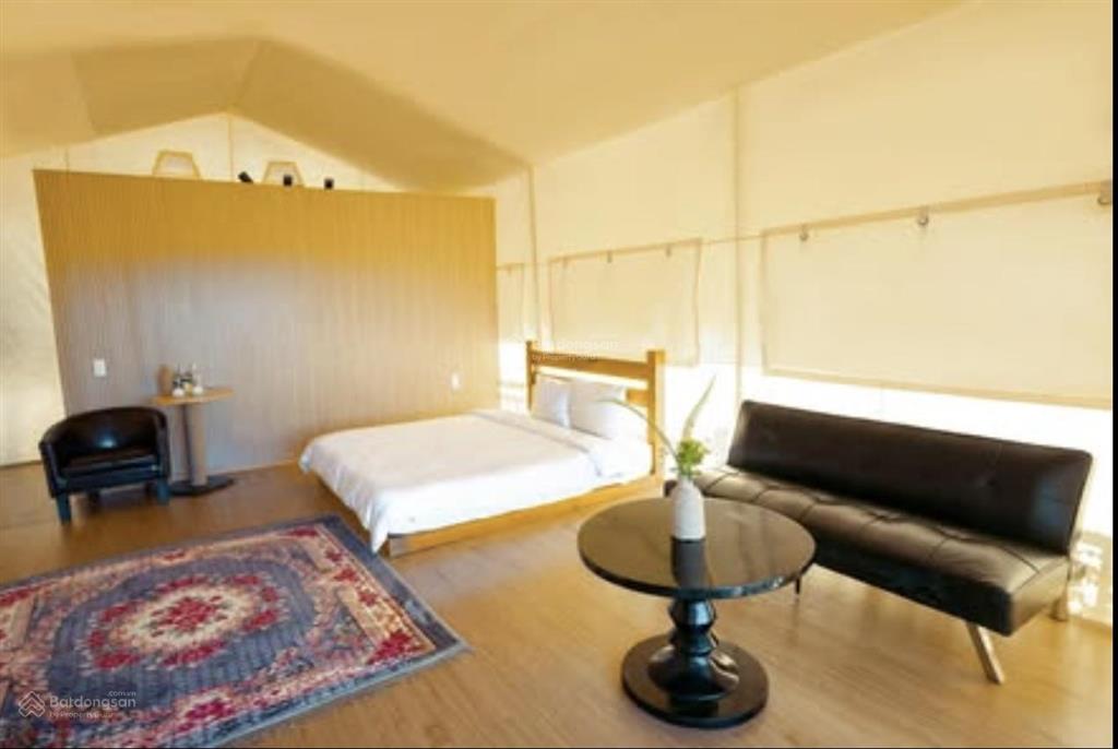 Cho thuê khu glamping mặt tiền, phường 11 dalat khu glamping ngay trung tâm mặt tiền xuân thọ