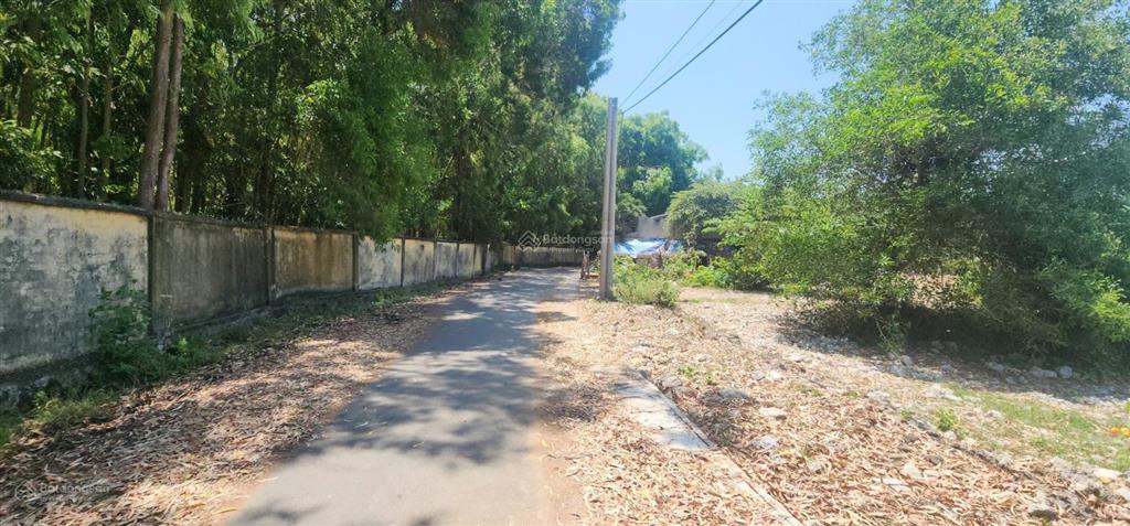 Gần 1000m2, sát bãi tắm công cộng biển hồ tràm. có 100m2 thổ cư, 24m mt nhựa. giá rẻ