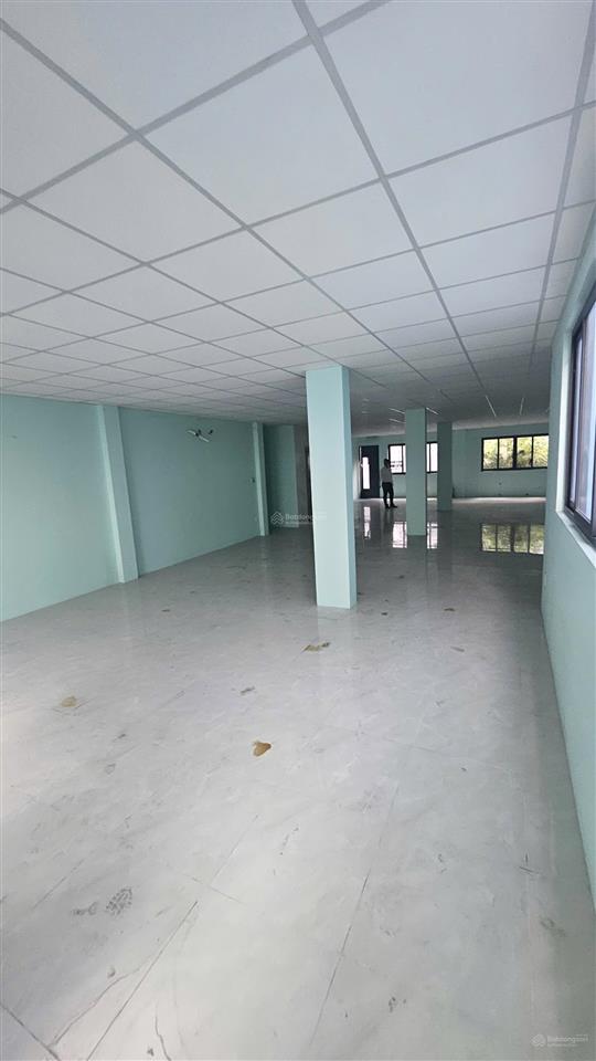 Nhà bán chính chủ tòa nhà văn phòng 236m2 đường trần hưng đạo q1 giá 68 tỷ
