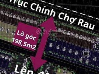 Hàng mới siêu phẩm lô góc tại khu chợ rau xã liên châu  yên lạc (nay là xã liên châu  phú thọ)