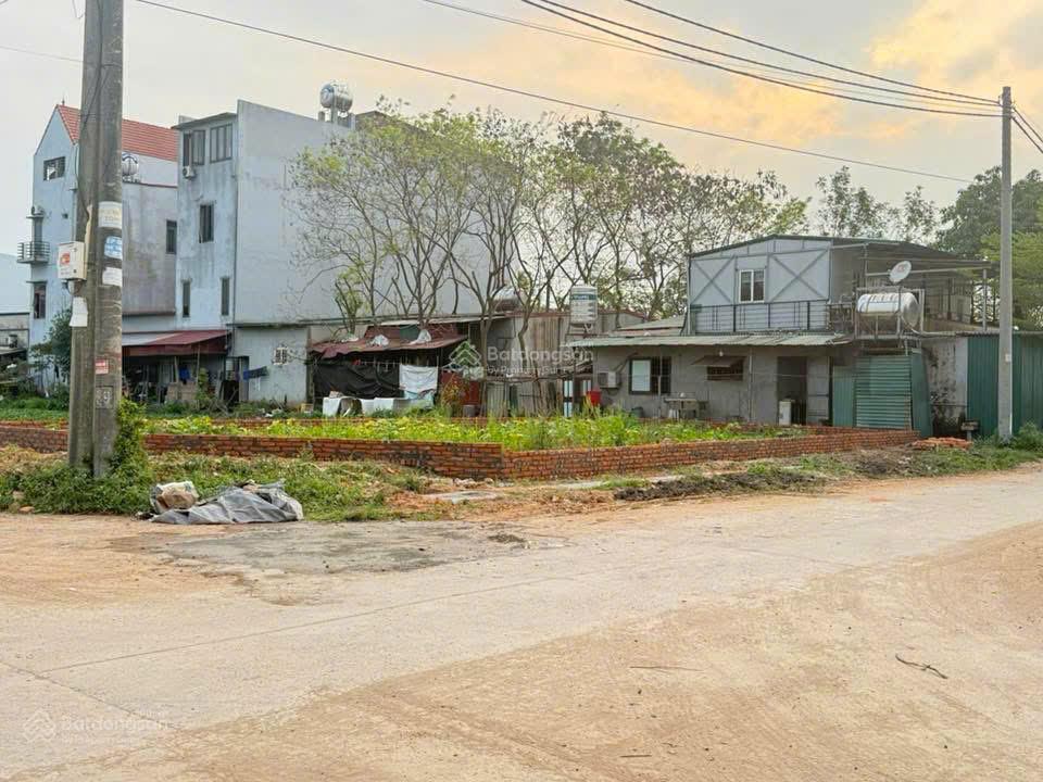 Hàng mới siêu phẩm lô góc tại khu chợ rau xã liên châu  yên lạc (nay là xã liên châu  phú thọ)