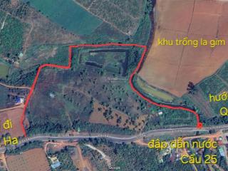 Giá ngộp 6.5ha, mặt tiền ql28, gần gia nghĩa, suối chảy quanh năm, sổ hồng