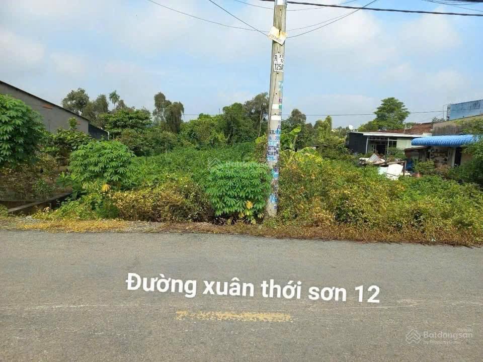 Chính chủ cần bán đất vị trí đẹp kế bên ql 22 và vành đai 3 đã lên gần full thổ cư 30tỷ, 1012 m2