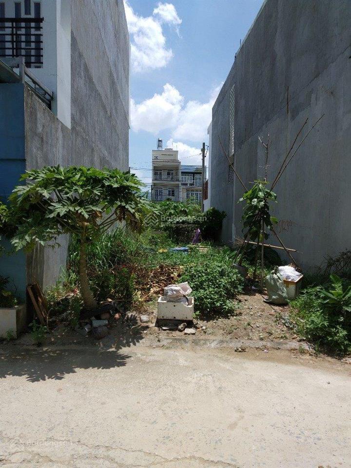 Đất hiếm nguyễn văn on  thị trấn củ chi 112,5m2  1 tỷ 7  shr