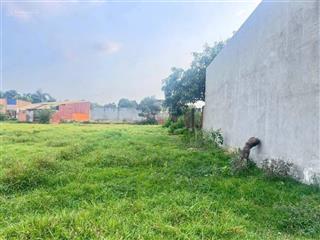 Chính chủ bán gấp 6x17m bình tả đức hoà hạ, shr. giá 590tr