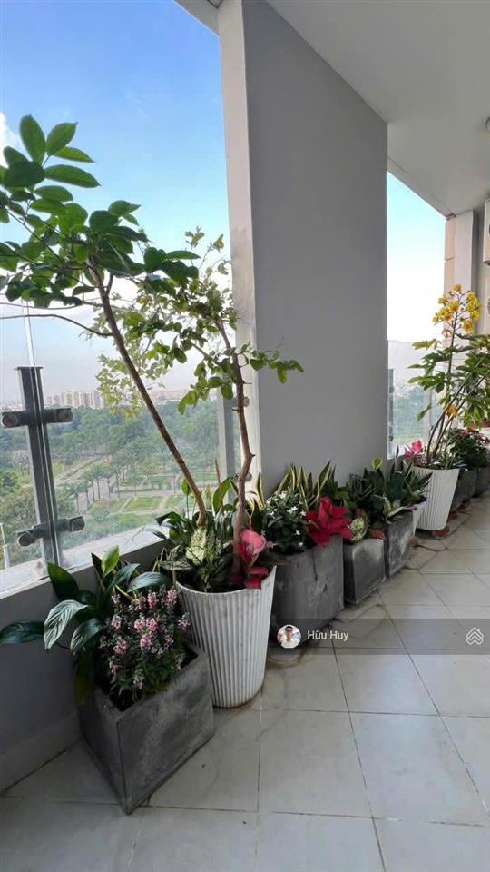 Nhà y hình, cho thuê 3pn 2wc 88m2 full nt chỉ 22tr/tháng tại garden gate cạnh công viên gia định