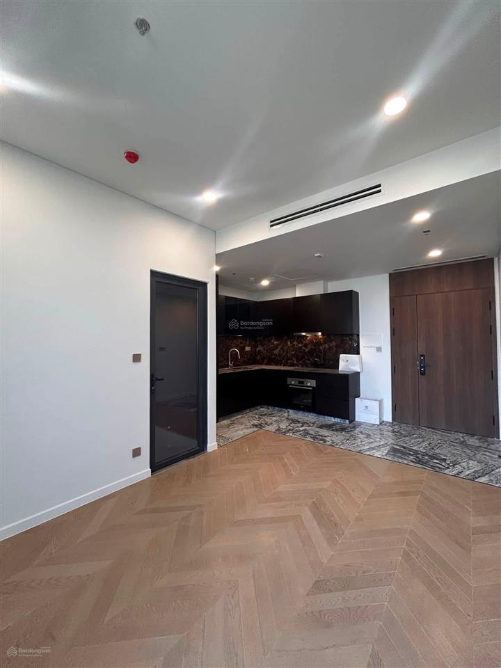Lumiere riverside  cho thuê 1pn 1wc 50m2  ntcb 24tr/tháng (còn thương lượng)