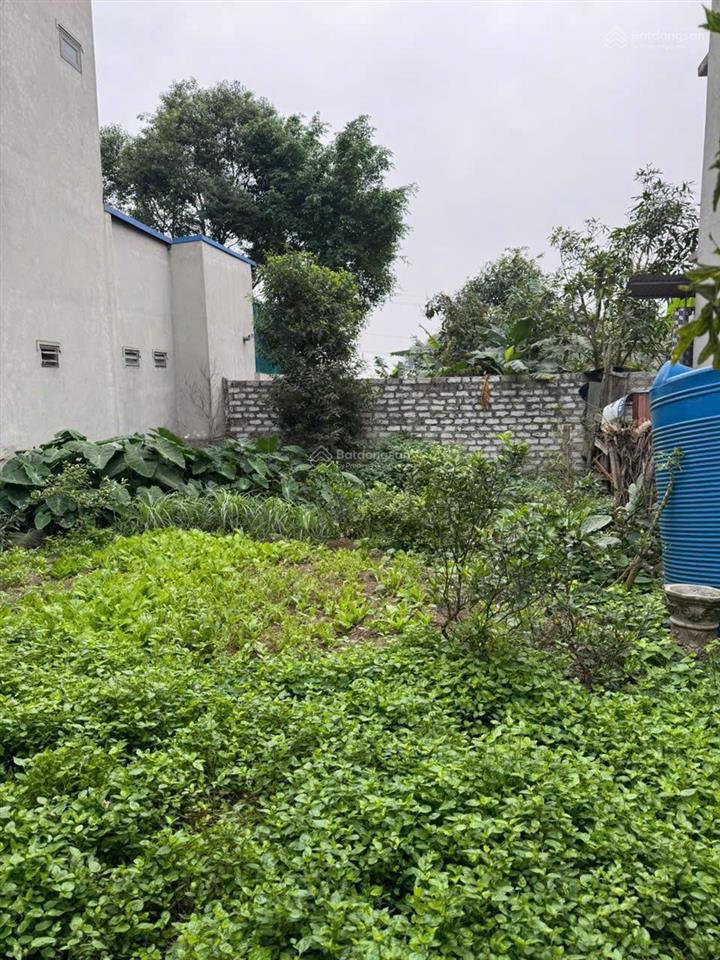 Cơ hội đầu tư trục huyết mạch hà nội hải phòng  100m²  sổ đỏ