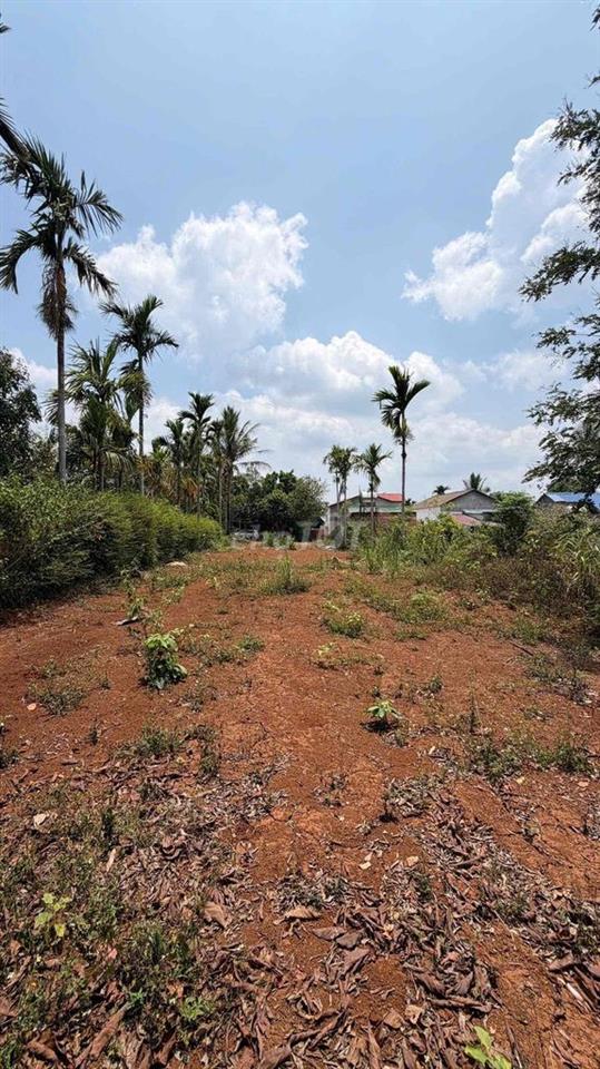 🌳 ĐẤT ĐẸP BUÔN KOMLEO – HÒA THẮNG Quy hoạch 2 mặt tiền trước – sau | Đ