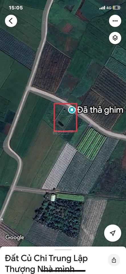 Bán đất trồng cây lâu năm 550m2, đường quy hoạch 12m, mặt tiền 20m giá 1,5 tỷ tl