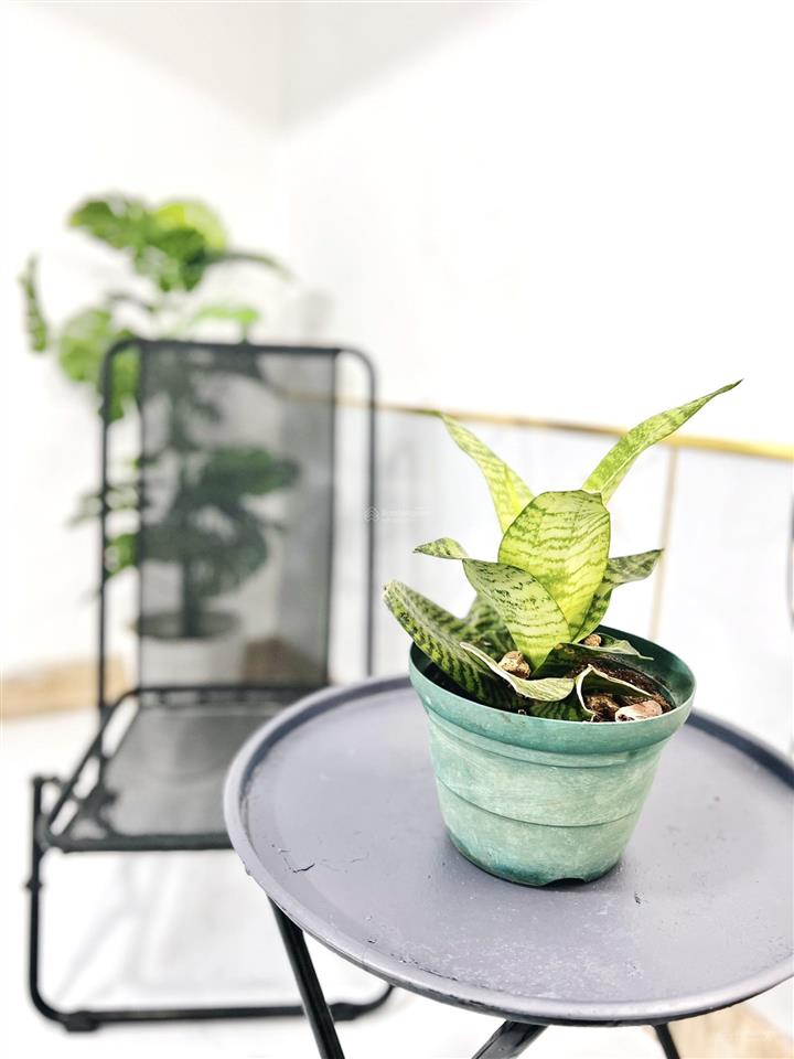 Studio ban công lớn  full nội thất mới keng  ngã tư ga q12