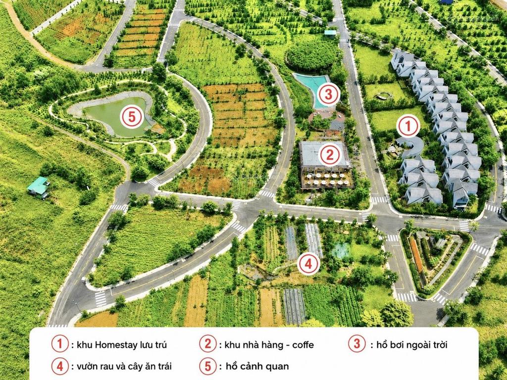 Đất nền hạ tầng hoàn chỉnh, tiện ích 4 sao, đừng mua đất bảo lộc khi chưa ghé suối thông la beaute