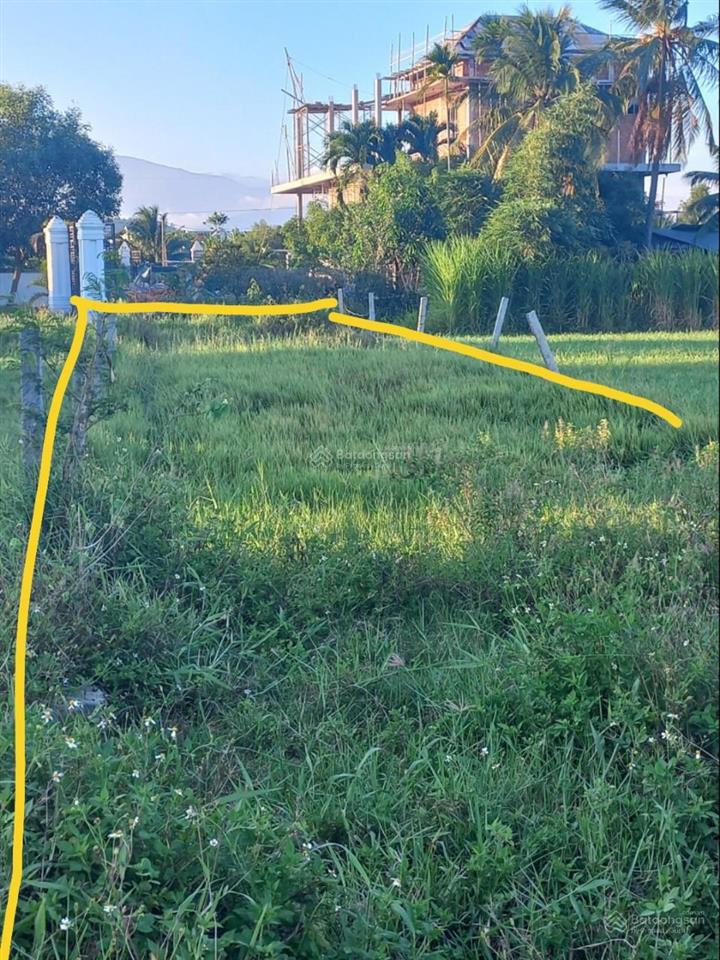 Bán đất thôn phú sơn, ninh trung, ninh hòa, 226.3m2 full thổ cư, đường bê tông, dân cư đông đúc