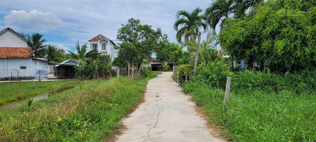 Bán đất thôn phú sơn, ninh trung, ninh hòa, 226.3m2 full thổ cư, đường bê tông, dân cư đông đúc