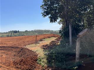 Tôi muốn sang nhượng nhanh 7 ha đất đỏ bazan, đất trắng