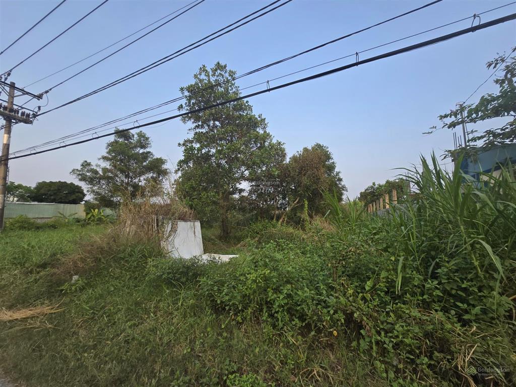 Bán nhanh 1600m2 đất ở đường thanh niên , bình chánh,gần vinhomes hóc môn 23 tỷ tl!  0983 002 ***