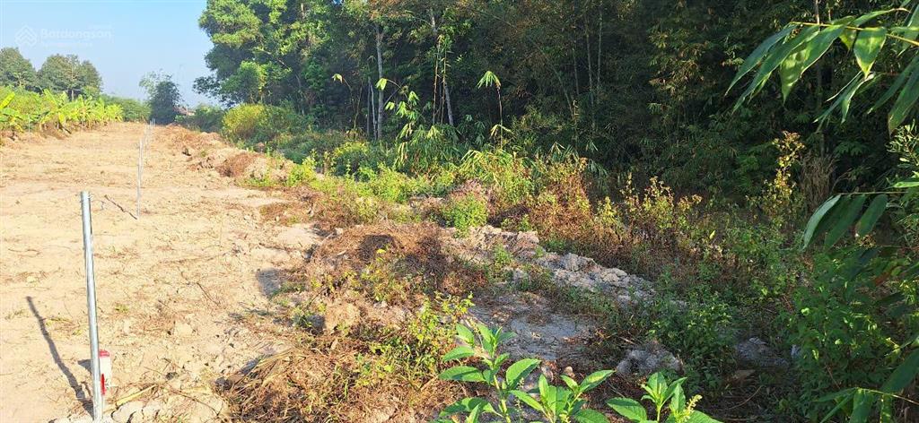 Chính chủ bán nhanh lô đất 1300m2 phía sau kcn chơn thành