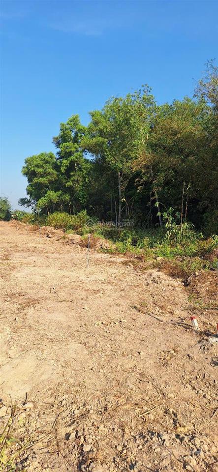Chính chủ bán nhanh lô đất 1300m2 phía sau kcn chơn thành