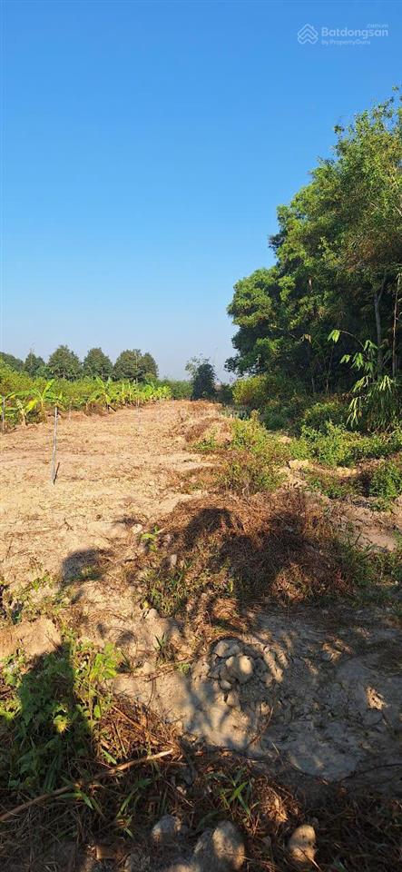 Chính chủ bán nhanh lô đất 1300m2 phía sau kcn chơn thành