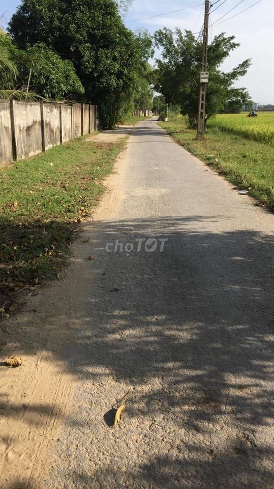 Thanh lý đất thổ cư toàn nền giá tốt