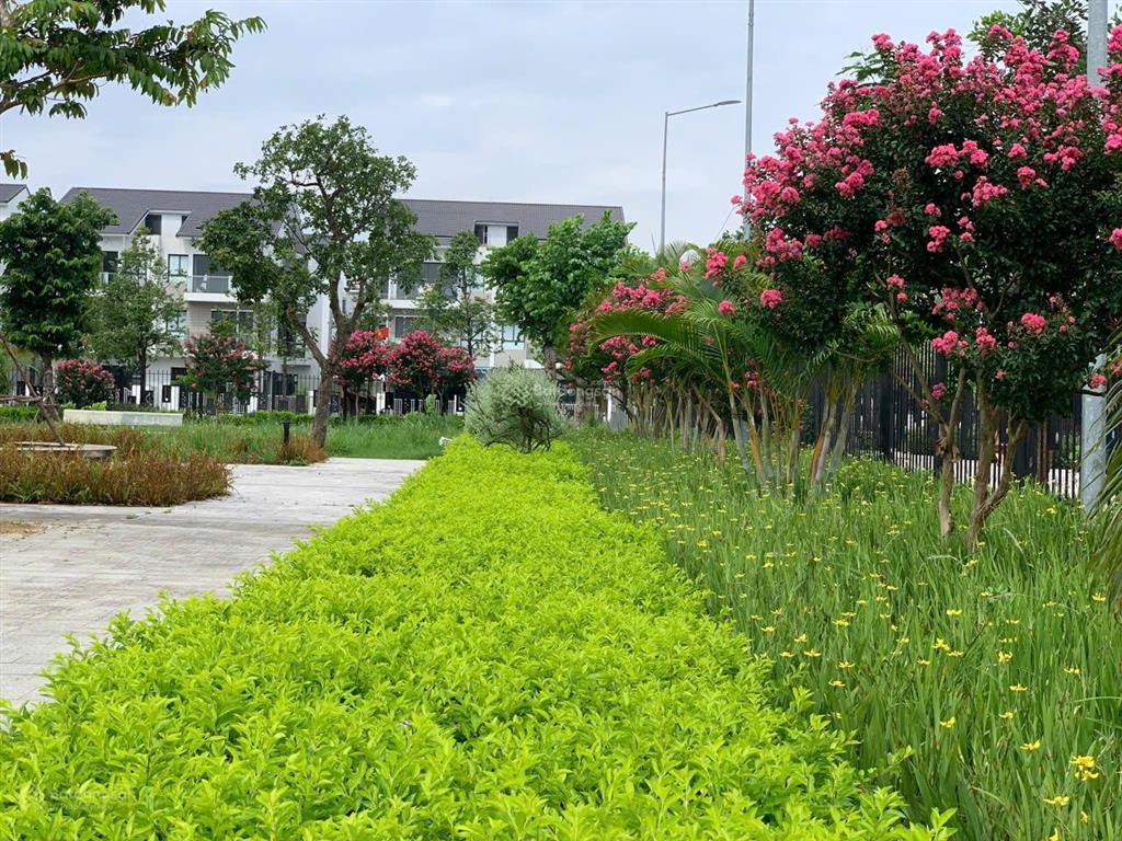 Fo đất dịch vụ khu d yên nghĩa, cạnh kđt đô nghĩa 50m2  phân lô vuông đét, chủ cần bán gấp. 10,2tỷ