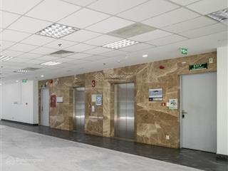 Cho thuê 218m² văn phòng cao cấp hạng b+ đường nguyễn đình chiểu, quận 3  giá thuê 25 usd/m²
