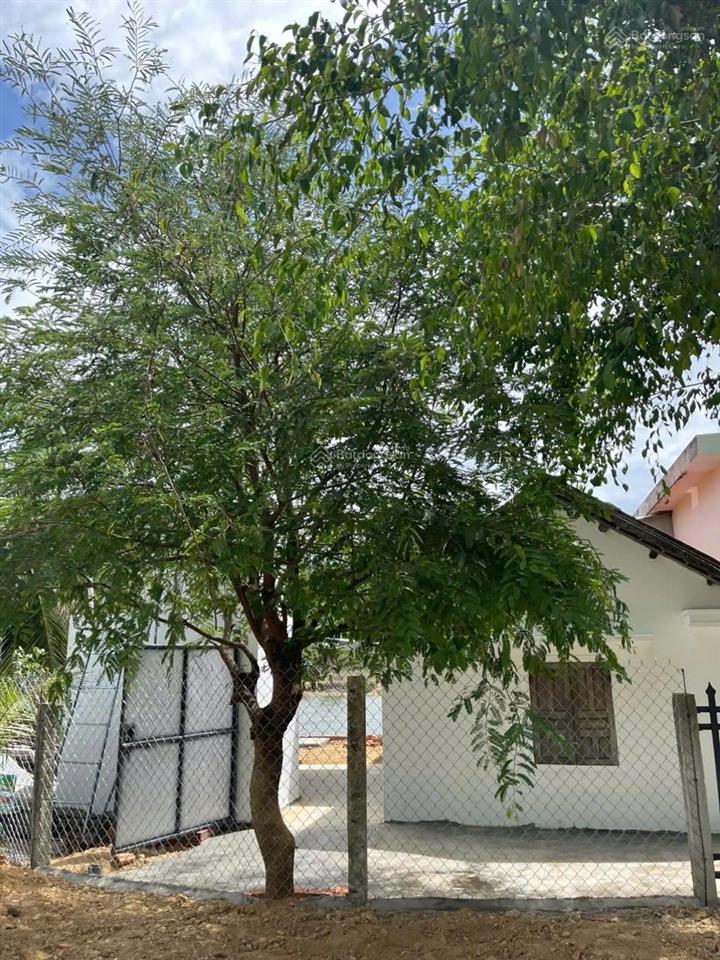 Bán nhà thổ cư giá rẻ mặt tiền thôn, hẻm xe lớn, cấp 4 mới sơn sửa lại sát tp quy nhơn