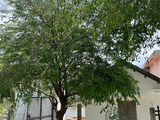 Bán nhà thổ cư giá rẻ mặt tiền thôn, hẻm xe lớn, cấp 4 mới sơn sửa lại sát tp quy nhơn