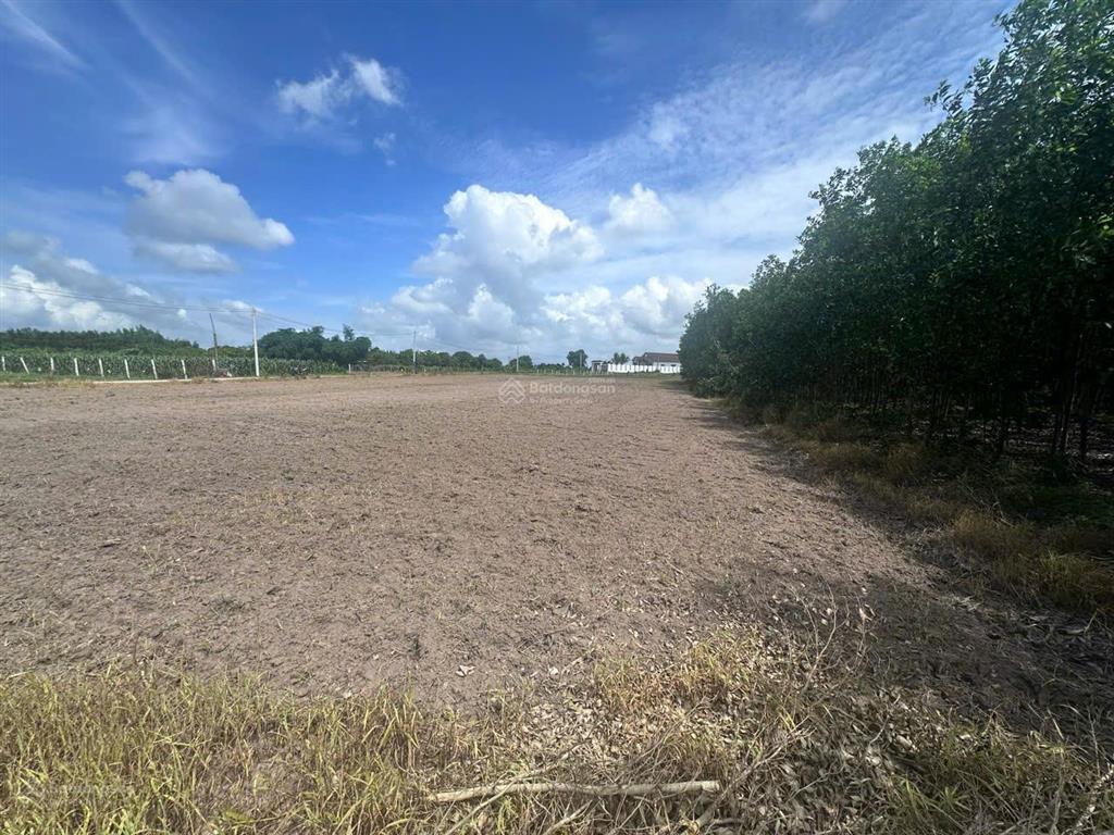 Bán 3.000m2 đất thổ cư 2 mặt tiền siêu đẹp, gần biển hồ tràm, phân lô dự án siêu lợi nhuận
