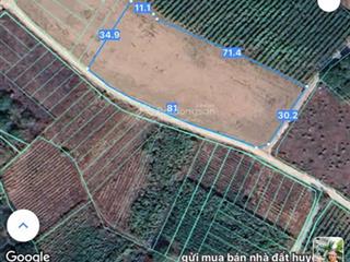 Bán 3.000m2 đất thổ cư 2 mặt tiền siêu đẹp, gần biển hồ tràm, phân lô dự án siêu lợi nhuận