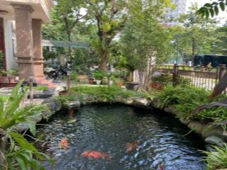 Rẻ! bán gấp biệt thự góc 330m2 kdt splendora bắc an khánh, vị trí cực đẹp, giá chỉ 24x tr/m2