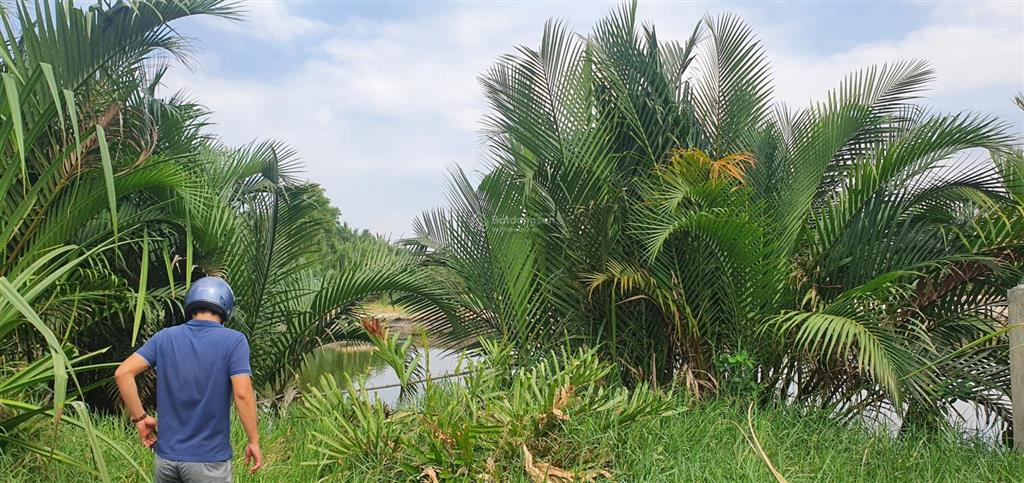 Chính chủ bán gấp lô đất 134,3m2 thổ cư 100%  đường võ thị sáu, phú đông, nhơn trạch